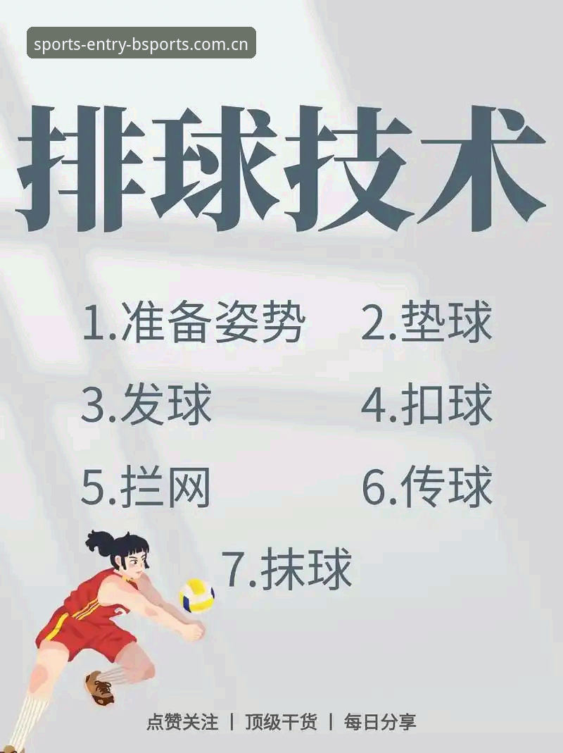 B体育平台官网下载安装实用指南：新手必备操作技巧
